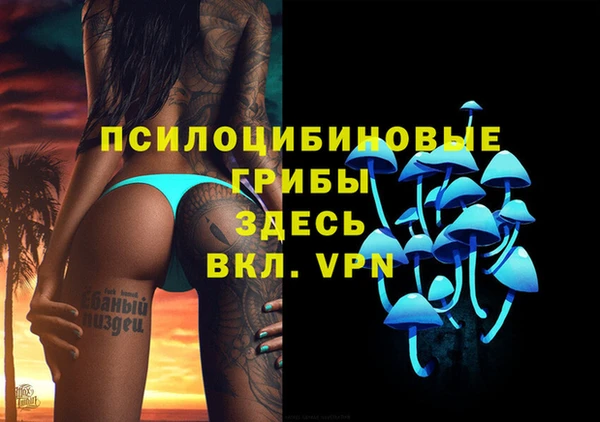 ГАЛЛЮЦИНОГЕННЫЕ ГРИБЫ Саяногорск